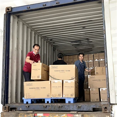 Thứ tự găng tay số lượng lớn đã được đóng gói và tải cho lô hàng